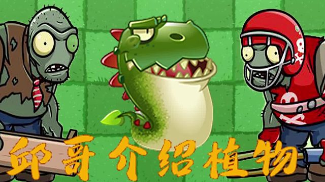 096邱哥介绍植物：植物大战僵尸之龙吼草！