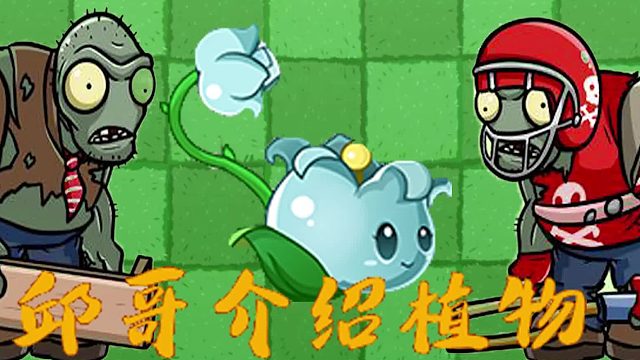 099邱哥介绍植物：植物大战僵尸之芦藜药师！