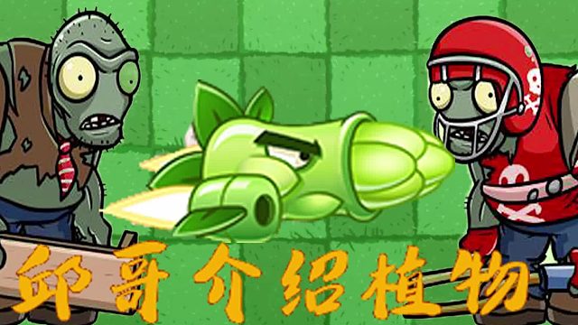 100邱哥介绍植物：植物大战僵尸之芦笋战机！