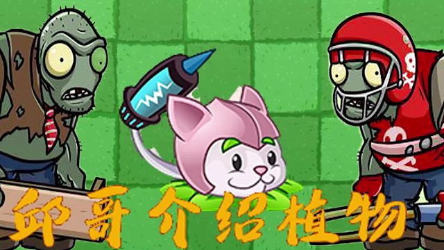 103邱哥介绍植物：植物大战僵尸之猫尾草！