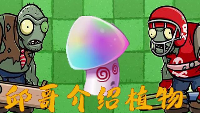 106邱哥介绍植物：植物大战僵尸之魅惑菇！
