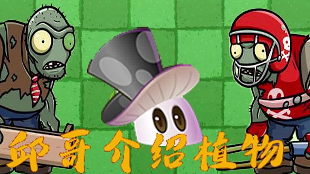 109邱哥介绍植物：植物大战僵尸之魔术菇！