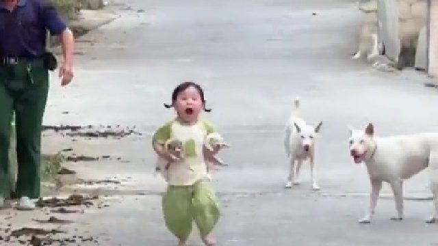 萌娃在农村和狗子抢崽，妈妈：你怎么能偷它崽！