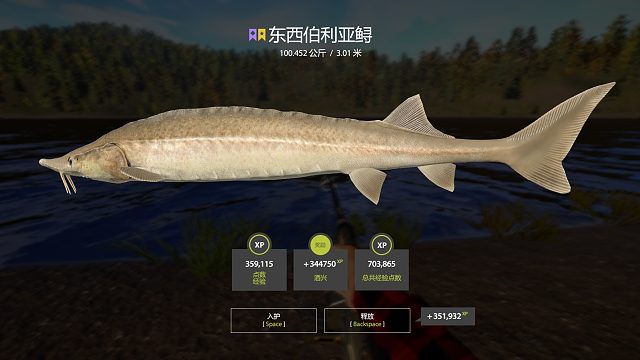 水里有酒鱼醉了，10分钟的星东鲟。