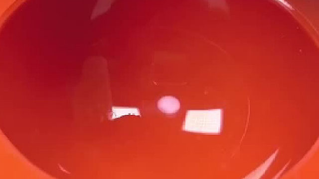 这根海洋系棒棒糖，不舍得吃哟。