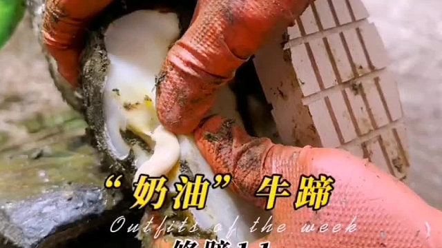 奶油牛蹄真奇葩，小哥轻轻挤压就接连爆发