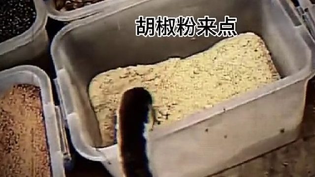 鹅：上次我六舅就是这个调料，老得劲了！