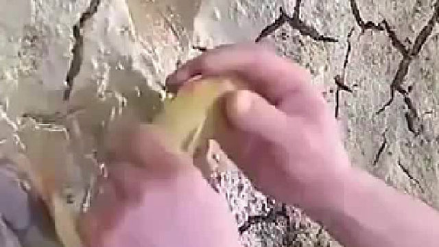 真是一物降一物，没想到把蛇放进去会有收获