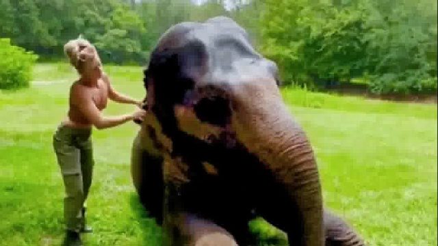 女孩和巨象从小一块长大，都将彼此当成了自己最亲的家人