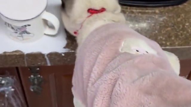 这种低人一等的感觉，真的太好啦