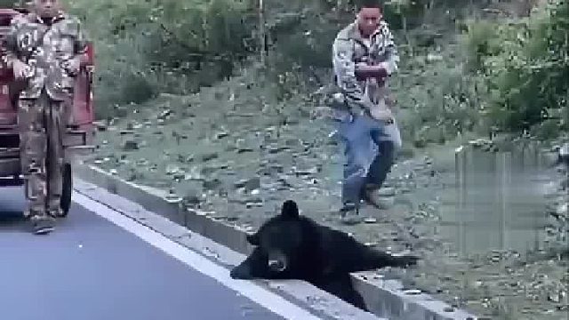 黑熊被卡水沟里无法挣脱，路人拿木棍放其身后做支撑：救援这种事普通人帮不了