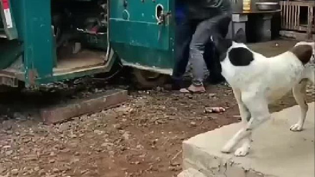 看在心里，急在脚上！