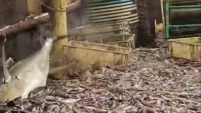 能否脱离危险就靠大哥一哆嗦了 ​​​