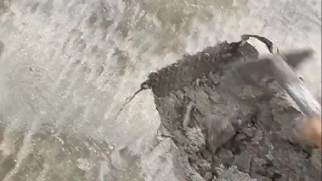 这种应该好吃 ​​​