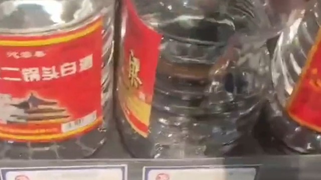 老鼠咬破塑料瓶偷喝高粱酒 ，喝完没来得及“撤离现场”就醉倒了