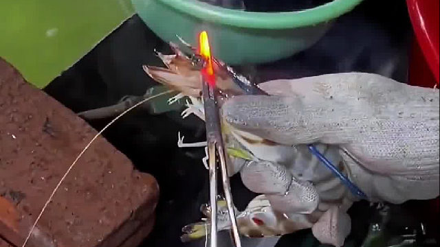 为什么要把虾的眼睛剪掉