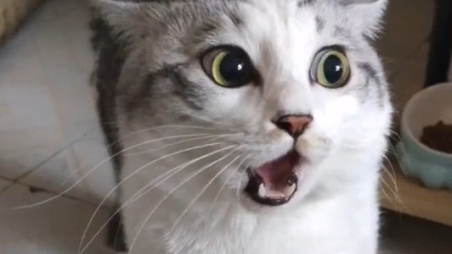 看把孩子给气的