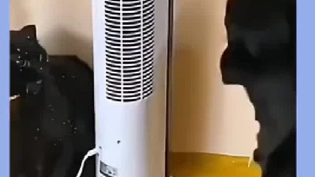 我当时根本不敢还嘴