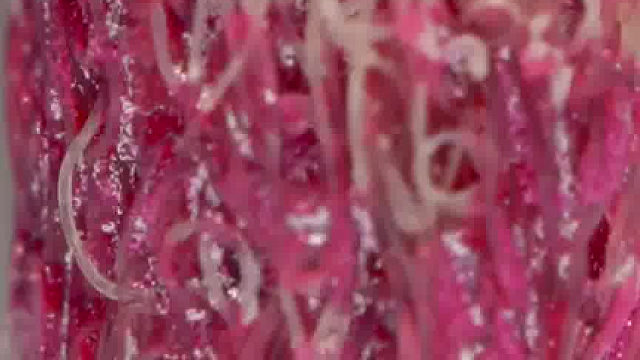 有趣的微观世界……