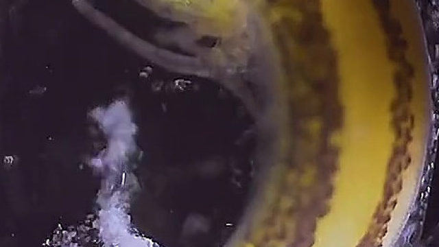 生命，妙不可言