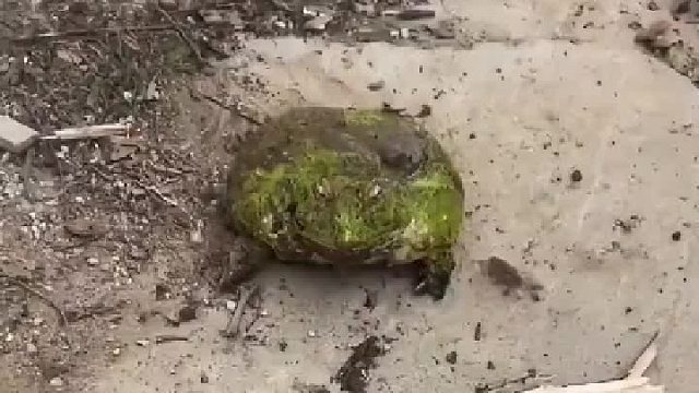 你给他家拆了能不生气吗