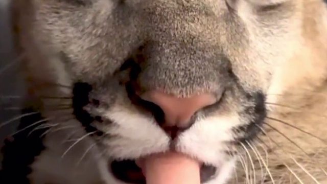 完了，手拿不出来了