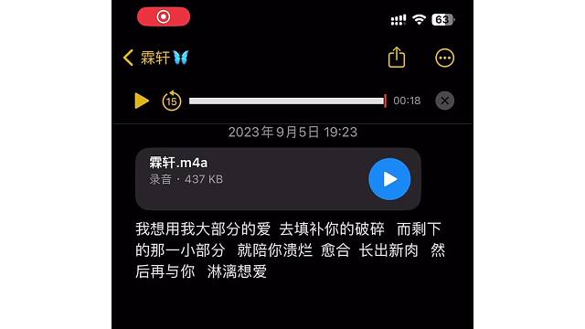 我想用我大部分的爱，去填补你的破碎