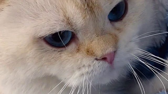 好养活凭实力逃过一劫