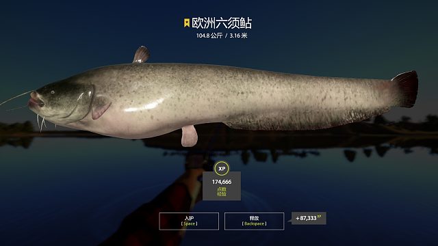 小星猪也很有劲，坐标：63.165，e偏右一点点。