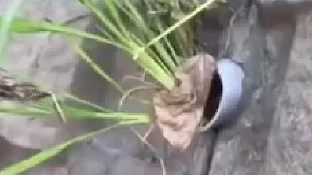 爽死强迫症患者