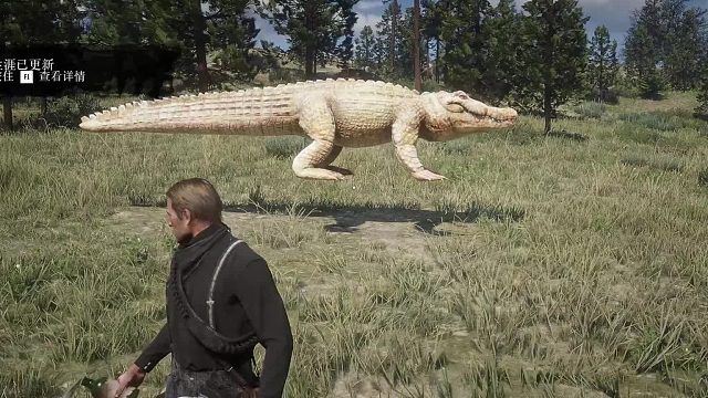 如何将烦人的小舅子变成复仇焰魂