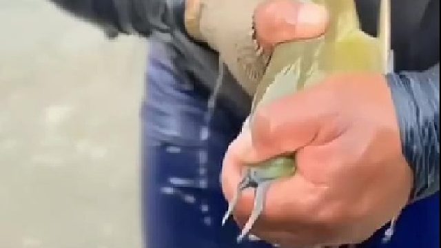 什么原理？？？？