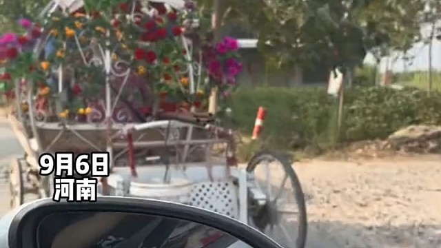 大爷架着南瓜马车载着大娘，香车宝马老美人，大爷人生巅峰。网友：结婚坐这个接亲不得洋气死