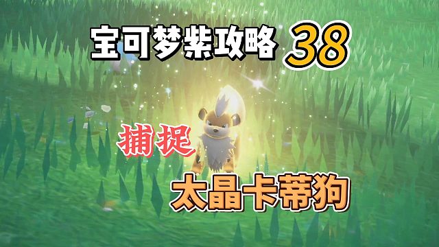 宝可梦朱紫攻略38：捕捉太晶卡蒂狗