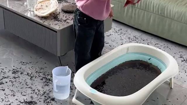 闺女真懂事、帮爸爸洗茶呢