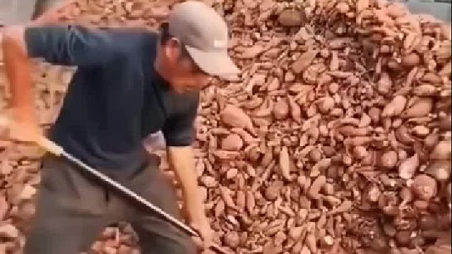 起码是红薯做的！