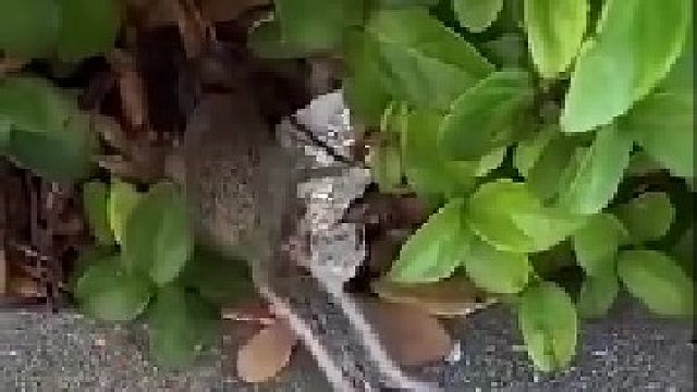 有时候不得不承认，有些缘分是注定的。