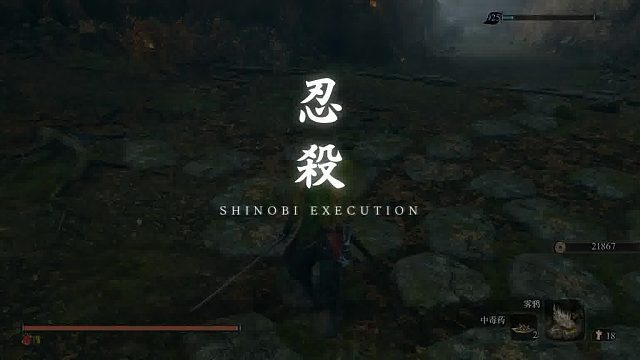 幻影破戒僧邪道【忍杀】