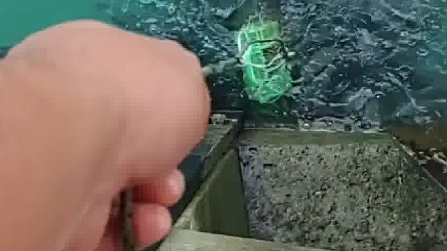 你“学废”了吗？确实很好用