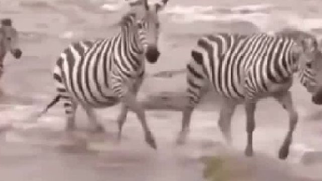 真没想到这个结果，上去就让人家给按了