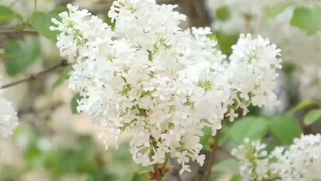 QAQ拍视频而已！我暖男