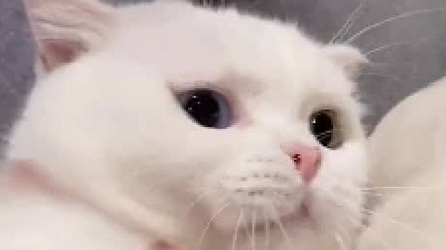 不小心用力过猛没注意