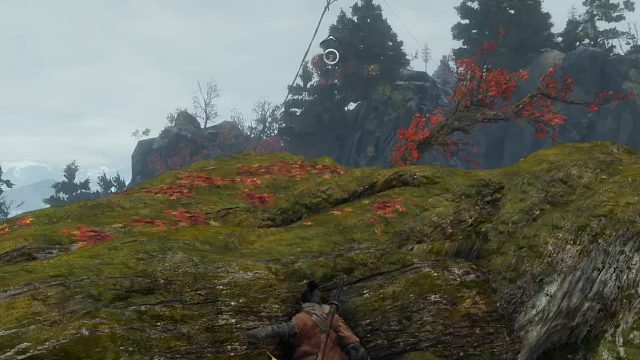 只狼：斩杀白蛇神路线