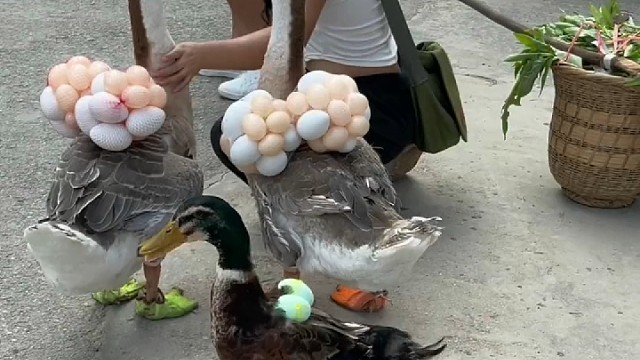 这个营销手段服了