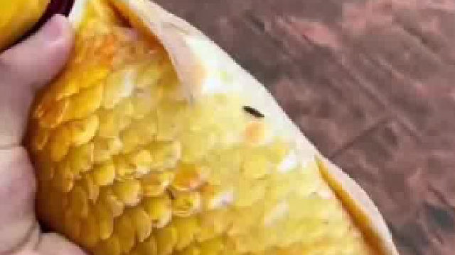 男生救下被冲上岸的鱼，半小时后鱼真的活过来游走了，“一时分不清是我幸运还是它幸运”