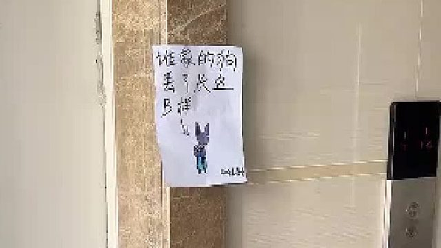 布鲁斯：你才是狗！！