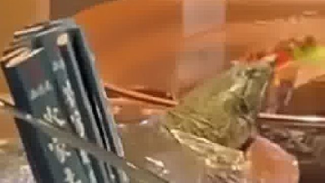 龟：我想出去看看，服务员：好好上班！新来的员工大庭广众之下殴打老员工