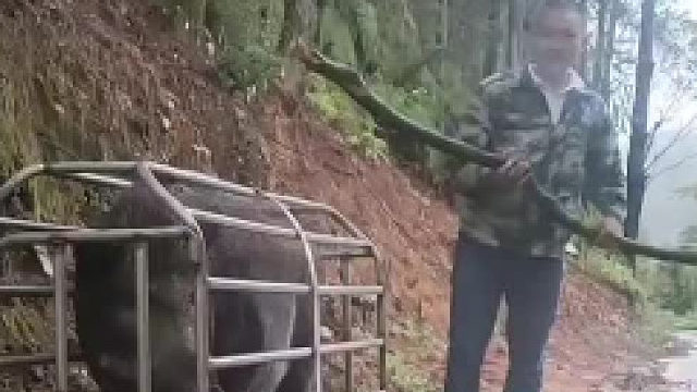 我这功夫可不是盖的