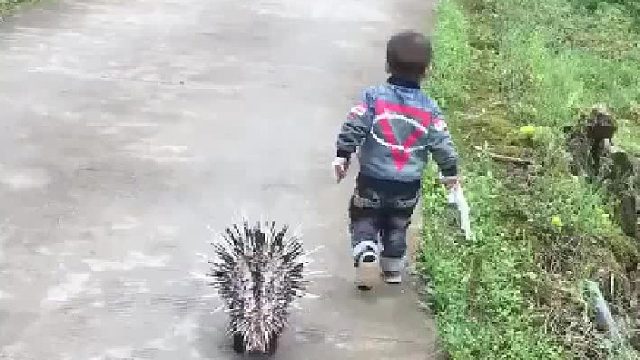 有了这玩意,在村里可以横着走了