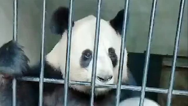 这都几点了,咋还不开饭呢